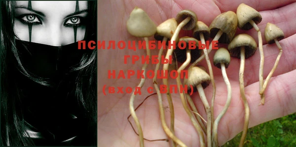 PSILOCYBIN Белоозёрский