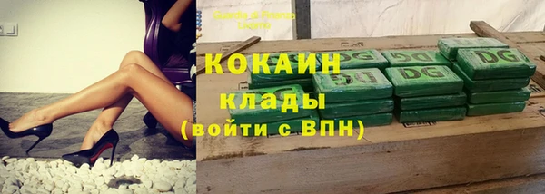 дмт Белокуриха