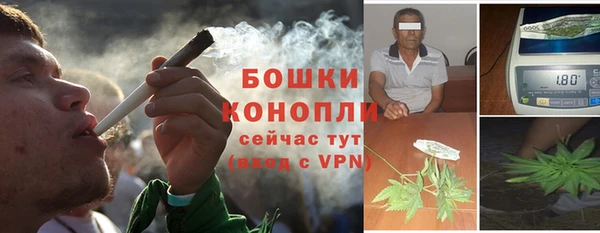 PSILOCYBIN Белоозёрский